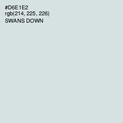 #D6E1E2 - Swans Down Color Image